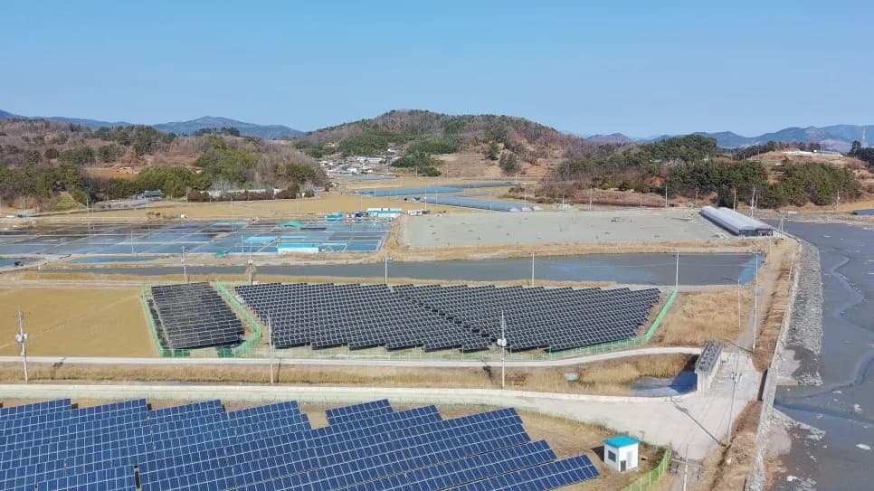 전남 보성군 벌교읍 태양광발전소 현장 사진 4