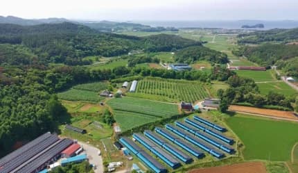 충남 서천군 서면 태양광발전소 현장 사진 2