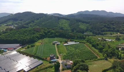 충남 서천군 서면 태양광발전소 현장 사진 4