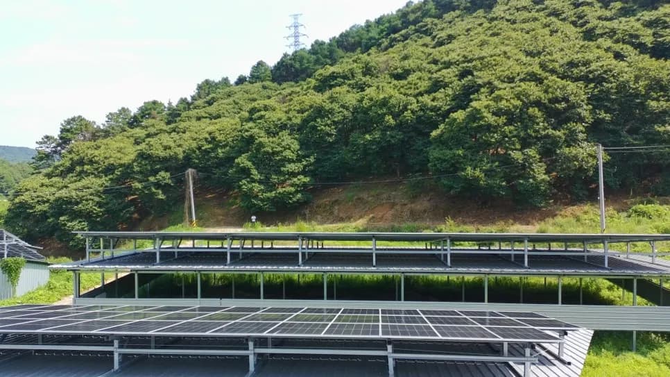 충남 서천군 태양광발전소